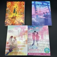 君がいなくなるその日まで 夕刻の町に僕らだけがいた わたしの嘘つきな神様