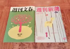 週刊誌２点セット