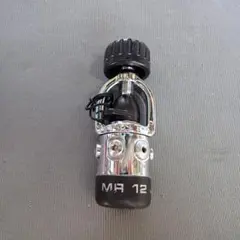 Item thumbnail for item 1bf2aa51-be8b-48ec-93df-299ec8bbf8fd