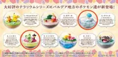 ポケモン テラリウムコレクション 駆け巡るパルデアの世界へ クワッス ニャオハ