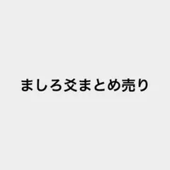 ましろ爻 まとめ売り