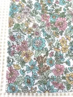 Item thumbnail for item 5a4d568b-cbdb-4fef-8f27-1b04974abc99