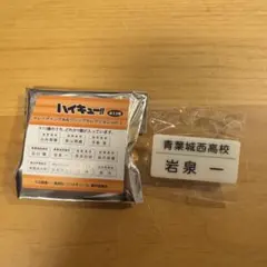 ハイキュー頂ストア名札クリップセレクション　vol.1 岩泉一　青葉城西
