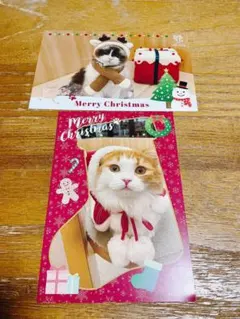 猫カフェモカ　イオンモール太田店　クリスマスポストカード　2枚セット