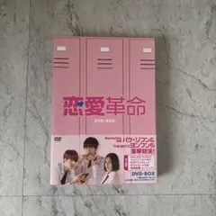 乙女的恋革命☆ラブレボ！！ PC 初回限定版 Windows DVD - メルカリ