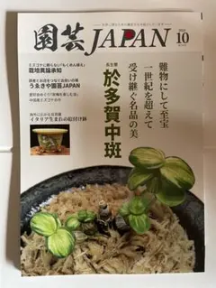 園芸JAPAN 2025年10月号