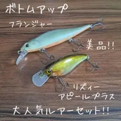 2026年最新】ズイール ルアーの人気アイテム - メルカリ