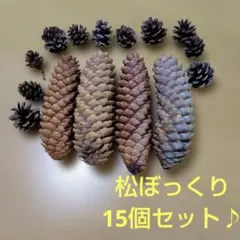 ★ 巨大 松ぼっくり セット ★ 大小15個 　アート　装飾　リース　創作品作り