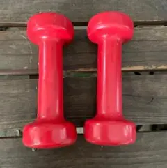 1.0KG 赤いダンベルペア