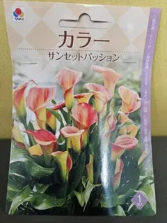❤︎アリス❤︎様 リクエスト 2点 まとめ商品