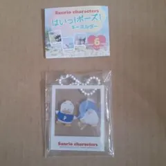 サンリオキャラクター 　はいっ！ポーズ！あひるのペックル&タキシードサム