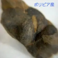 三葉虫　化石　部分化石　究極のレトロ　fossil　ボリビア産　識別番号⑤