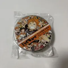 ハイキュー!! いろんな日向 大集合 フレークシール - メルカリ