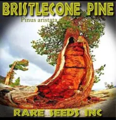 カメカメカメレオンハウス様 リクエスト 4点 まとめ商品