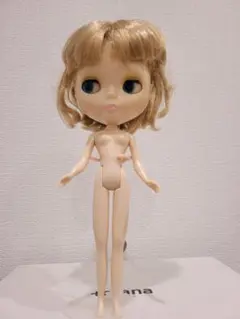 ブライス ☆Blythe☆ネオブライス バーディーブルー本体 - メルカリ