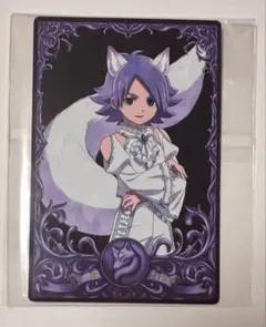イナイレ　吹雪士郎　人狼　カード