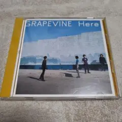 2026年最新】grapevine hereの人気アイテム - メルカリ