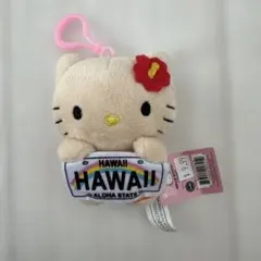 【新品】日焼け　キティ　ハワイ　ぬいぐるみ　マスコット　キーホルダー　ABC
