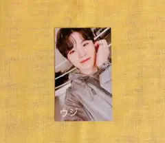 SEVENTEEN FML ユニバ ウジ