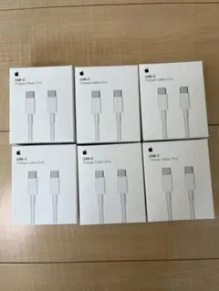 Apple USB-C 充電ケーブル (2m) 6本セット