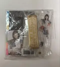 2026年最新】生田絵梨花 アクリルスタンドの人気アイテム - メルカリ