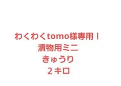 わくわくtomo様専用！漬物用ミニきゅうり２キロ