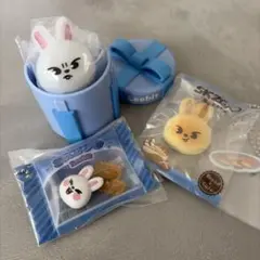 Stray Kids スキズ SKZOO リービット Leebit