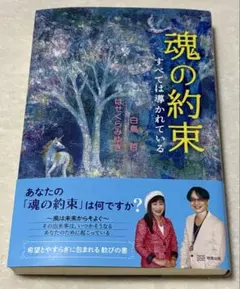 魂の約束　すべては導かれている　白鳥哲