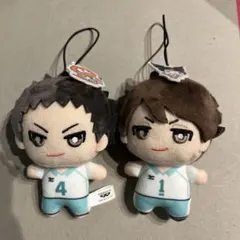 バレーボールキャラクター マスコット 2体セット