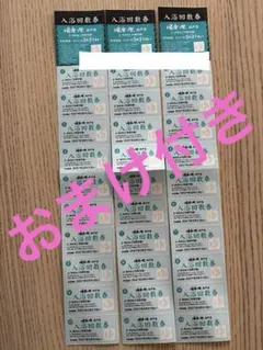 湯楽の里 松戸店 入浴回数券 回数券 30回分 入浴券 スーパー銭湯 おまけ付きのサムネイル