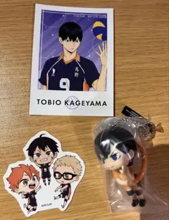 ハイキュー　烏野　セット