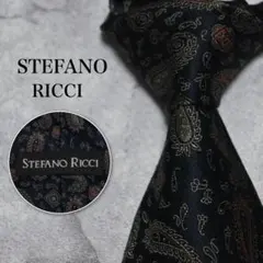 【美品】 ステファノリッチ ペイズリー ブラック ネクタイのサムネイル