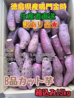 徳島県産鳴門金時★訳ありB品カット芋★箱込み15kg★コンビニ払い不可★②