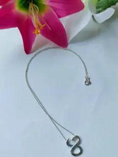 ティファニー パロマ・ピカソ 牡牛座ネックレス シルバー 925 値下げ