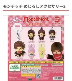 モンチッチ めじるしアクセサリー2