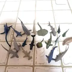 世界のサメのフィギュアセット 20体以上