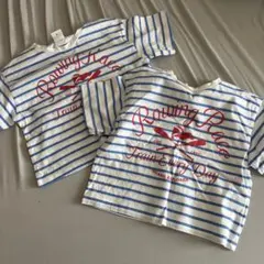 ZARA ストライプ クロップドTシャツ　マリン　セット