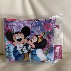 ディズニーリゾート　エコバッグ　イマジング　ザ　マジック