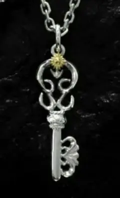 2026年最新】アリゾナフリーダム キーの人気アイテム - メルカリ