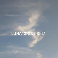 LUNA12様専用出品