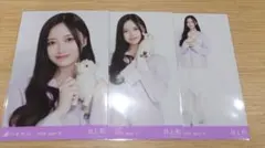 乃木坂46 井上和 2026 July-Ⅱ ラベンダー 北海道コーデのサムネイル