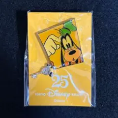 新品】TDR 25周年 ピンバッジ 野獣 鍵チャーム付き公式 限定 美女と