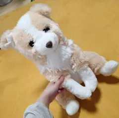 ぬいぐるみ☆くったりボーダーコリー