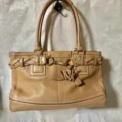 Item thumbnail for item 78fa3a0f-18e1-4ca1-b991-5bfb550d033c