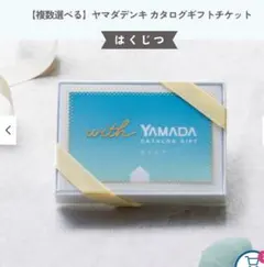 【定価30000円】ヤマダデンキ カタログギフトチケット　(はくじつ)