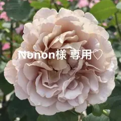 Nonon様 リクエスト 5点 まとめ商品