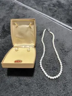 本珊瑚 ネックレス イヤリング セット