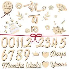 月齢フォト ニューボーンフォト 43枚 マンスリーカード 木製レターバナー