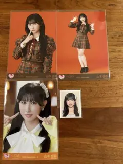 = LOVE 山本杏奈 生写真 IDフォト