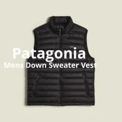 〈 Patagonia 〉 Mens Down Sweater Vest